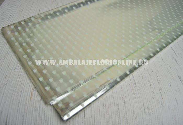 Simple transparent cellophane with polka dots